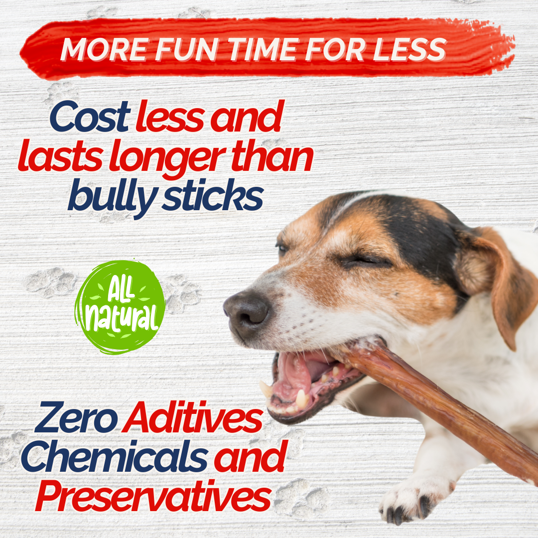 Braided Collagen Sticks for Dogs (10 Pack 6" Inches) – Long-Lasting Alternative to Bully Sticks, Rawhide-Free Collagen Chews with Chondroitin & Glucosamine for Joint Support & Dental Health