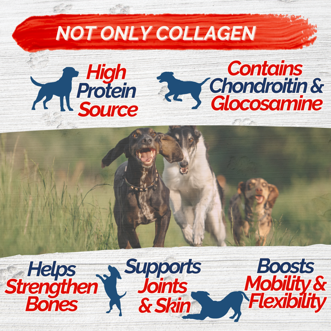 Braided Collagen Sticks for Dogs (10 Pack 6" Inches) – Long-Lasting Alternative to Bully Sticks, Rawhide-Free Collagen Chews with Chondroitin & Glucosamine for Joint Support & Dental Health
