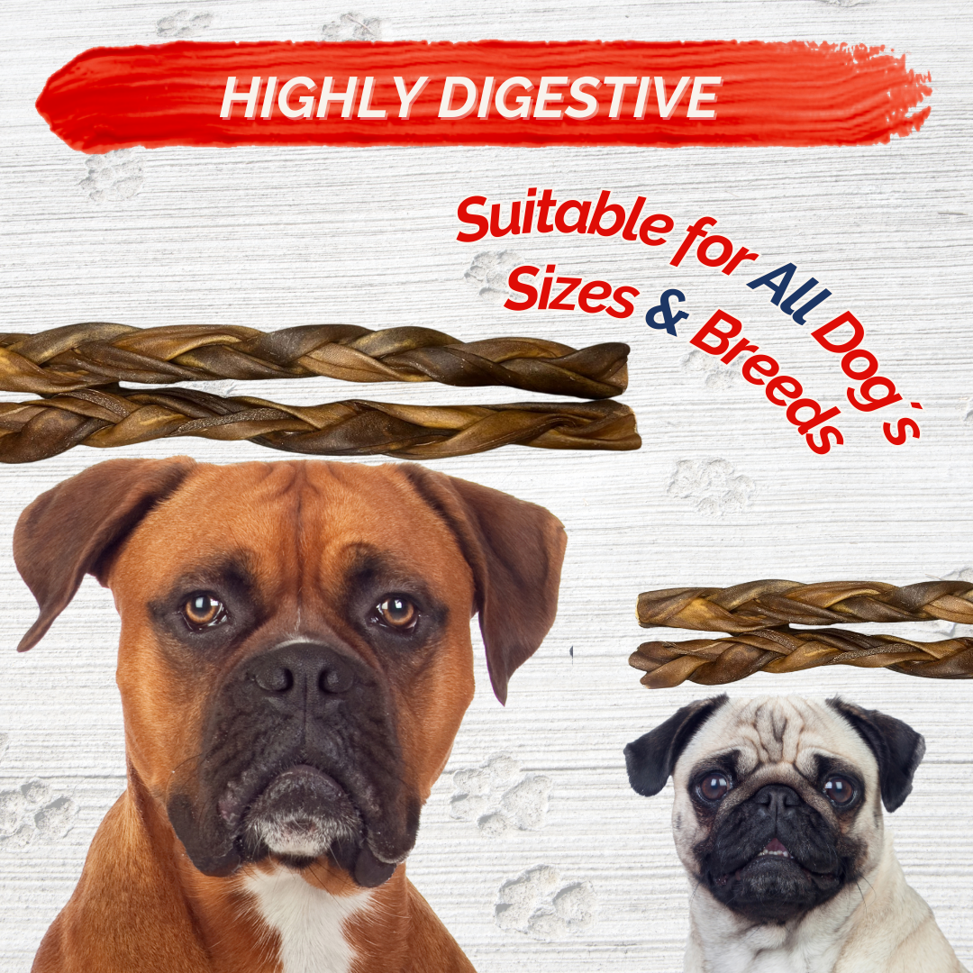 Braided Collagen Sticks for Dogs (10 Pack 6" Inches) – Long-Lasting Alternative to Bully Sticks, Rawhide-Free Collagen Chews with Chondroitin & Glucosamine for Joint Support & Dental Health